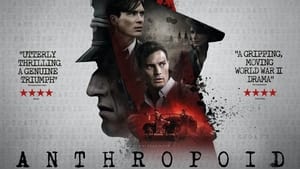 Anthropoid