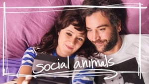 Social Animals