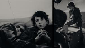 The Velvet Underground