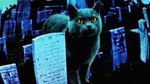 Pet Sematary