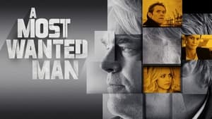 A Most Wanted Man