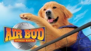 Air Bud: Spikes Back