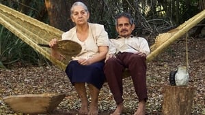 Paraguayan Hammock