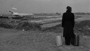 Stranger Than Paradise