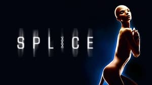 Splice