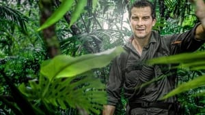 Running Wild with Bear Grylls