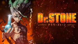 Dr. STONE