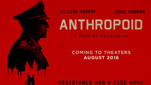 Anthropoid