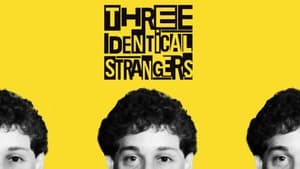 Three Identical Strangers