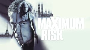 Maximum Risk