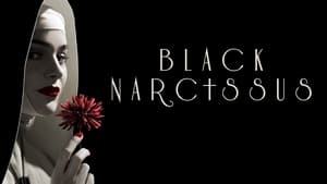 Black Narcissus