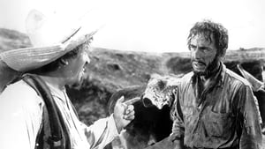 The Treasure of the Sierra Madre