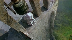 Black Narcissus