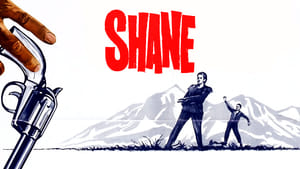 Shane