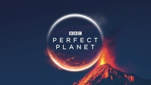 A Perfect Planet