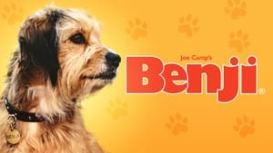 Benji