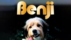 Benji