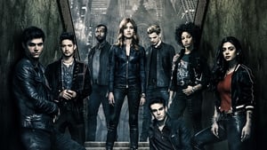 Shadowhunters