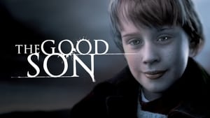 The Good Son