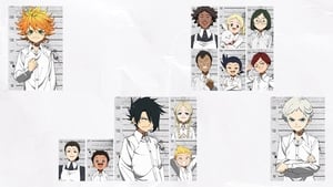 The Promised Neverland