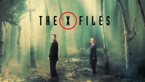 The X-Files