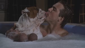 National Lampoon's Van Wilder