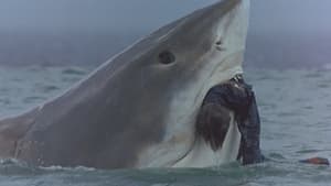 Cruel Jaws