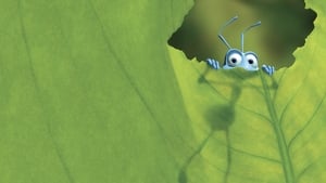 A Bug's Life