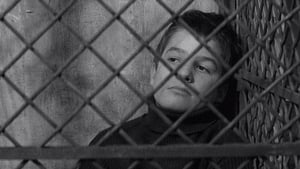 The 400 Blows