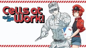 Cells at Work!