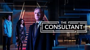 The Consultant