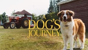 A Dog's Journey