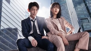 Lawless Lawyer