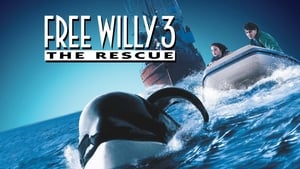 Free Willy 3: The Rescue