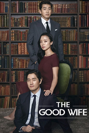 دانلود سریال The Good Wife 2016 (همسر خوب)