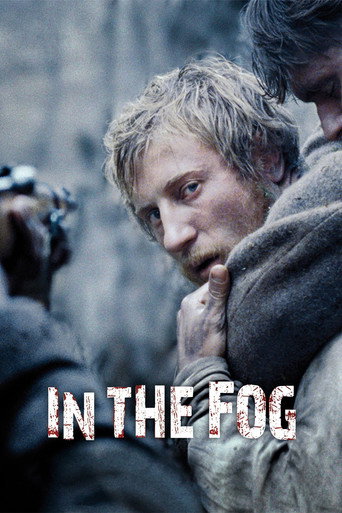 دانلود فیلم In the Fog 2012 (در مه)