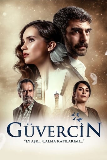 دانلود سریال The Pigeon 2019 (کبوتر)