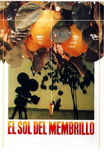 دانلود فیلم The Quince Tree Sun 1992