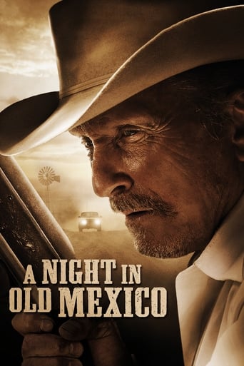 دانلود فیلم A Night in Old Mexico 2013 (شبی در مکزیک)