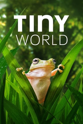 دانلود سریال Tiny World 2020 (دنیای کوچک)