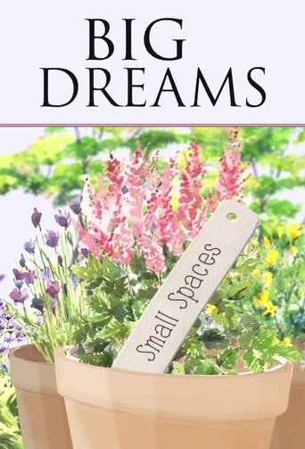 دانلود سریال Big Dreams Small Spaces 2014 (رویاهای بزرگ فضاهای کوچک )
