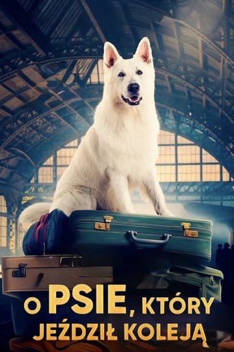دانلود فیلم Lampo, the Travelling Dog 2023