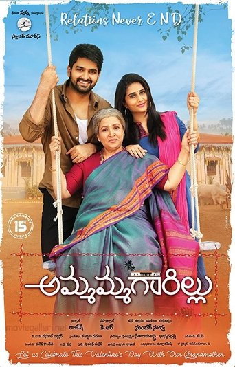 دانلود فیلم Ammammagarillu 2018