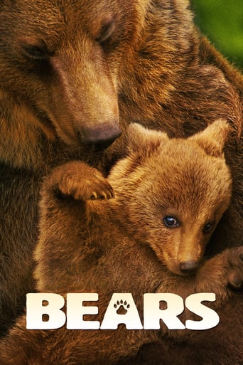 دانلود فیلم Bears 2014