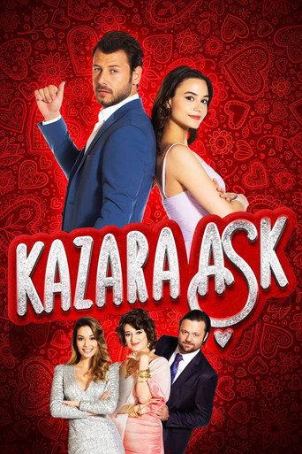 دانلود سریال Accidental Love 2021 (عشق تصادفی)