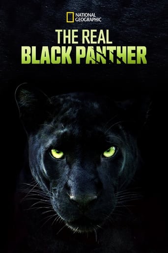 دانلود فیلم The Real Black Panther 2020 (پلنگ سیاه واقعی)