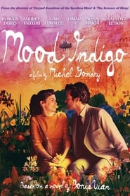 دانلود فیلم Mood Indigo 2013 (کف روزها)