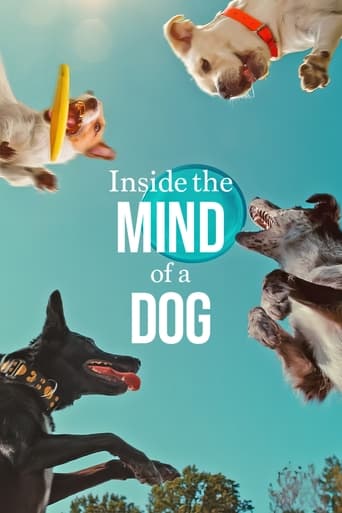 دانلود فیلم Inside the Mind of a Dog 2024 (درون ذهن یک سگ)