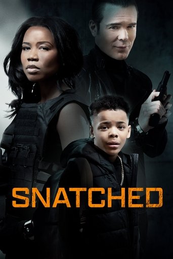 دانلود فیلم Snatched 2024