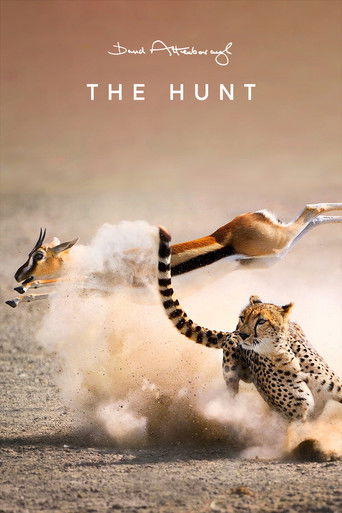 دانلود سریال The Hunt 2015 (شکار)